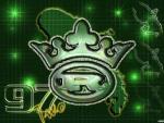 Rasta_Chiken du 97212